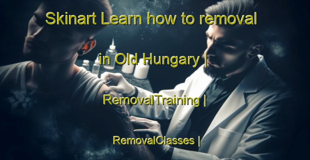 Skinart Learn how to removal in Old Hungary | RemovalTraining | RemovalClasses | SkinartTraining-Australia